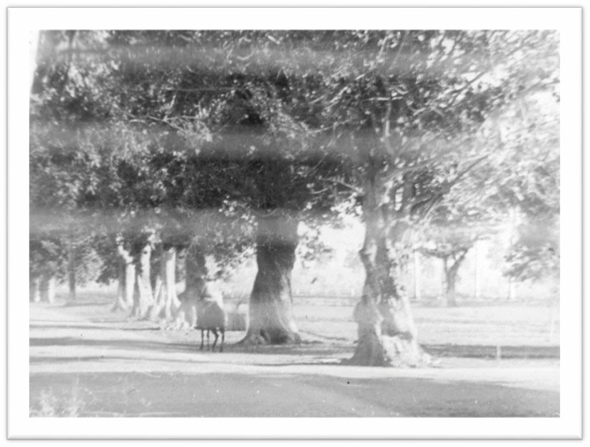 Image removed.