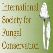 International Society for Fungal Conservation