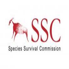 SSC