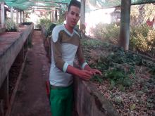 Jardinería