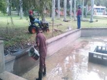 Gardening