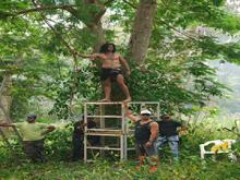Arrendamiento de espacios abiertos para filmación y fotografía
