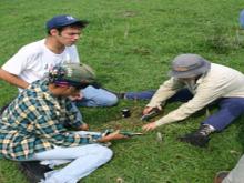 Gardening