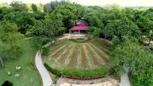 Jardín Japonés