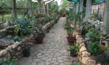 Jardín Botánico de Las Tunas