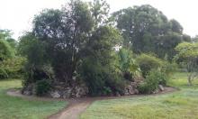 Jardín Botánico de Las Tunas