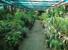 Jardín Botánico de Las Tunas