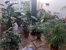 Jardinería