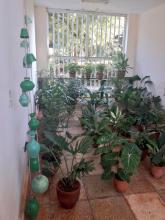 Jardinería