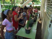 educación ambiental