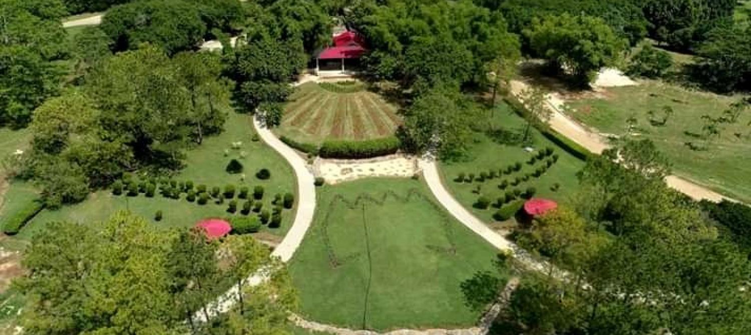 Jardín Japonés