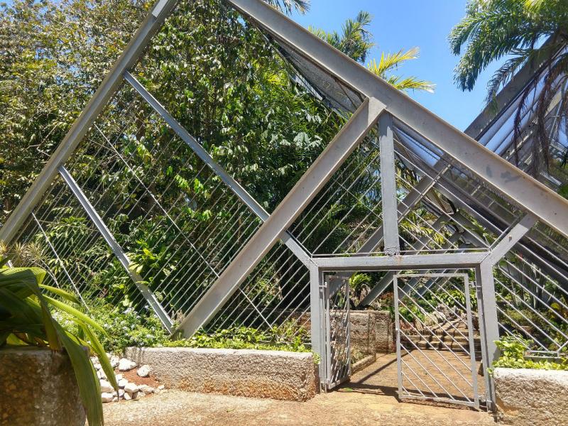 Bosques húmedos tropicales