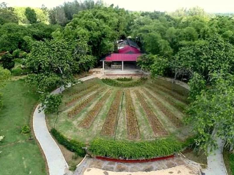 Jardín Japonés