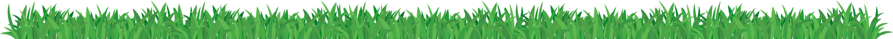 Jardín Japones